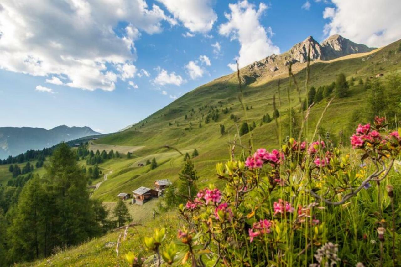 Апартаменти Unterhabererhof Санта-Маддалена-ін-Казіес Екстер'єр фото